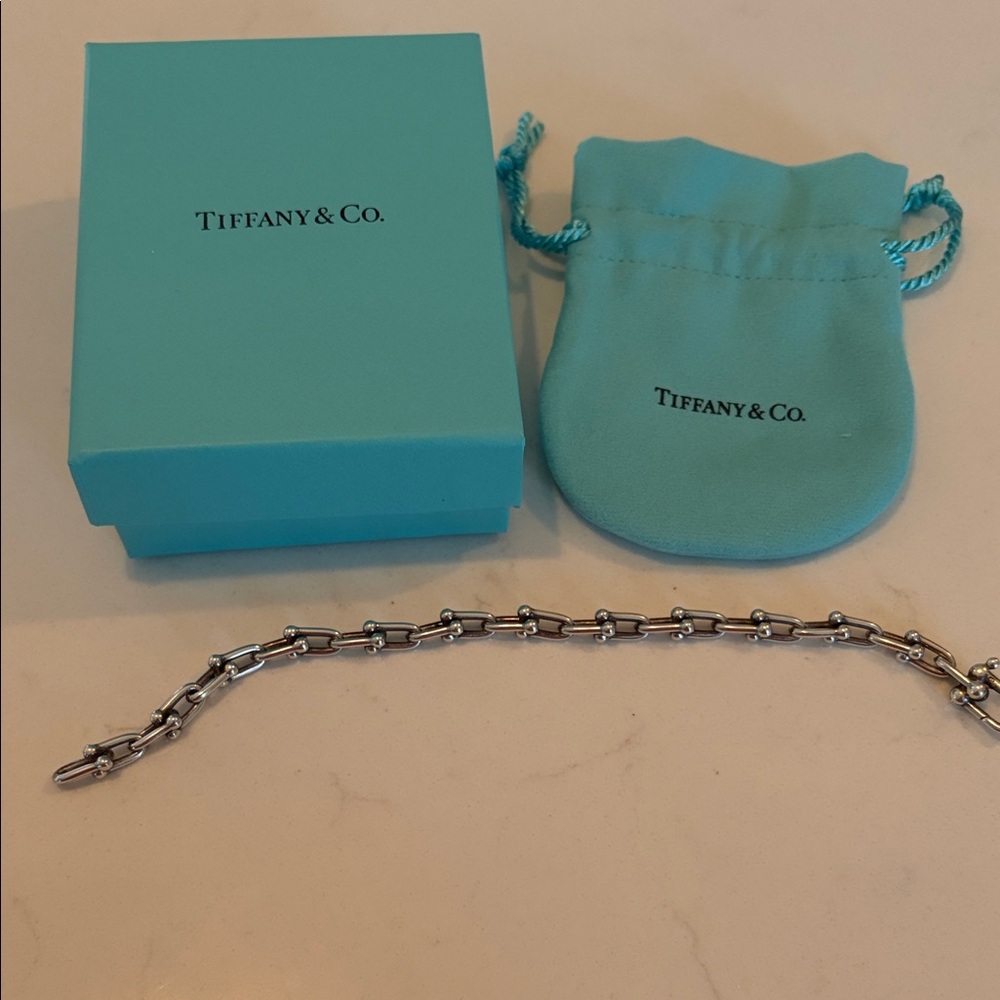 Tiffany & Co. Silver Link Bracelet with Blue Packaging